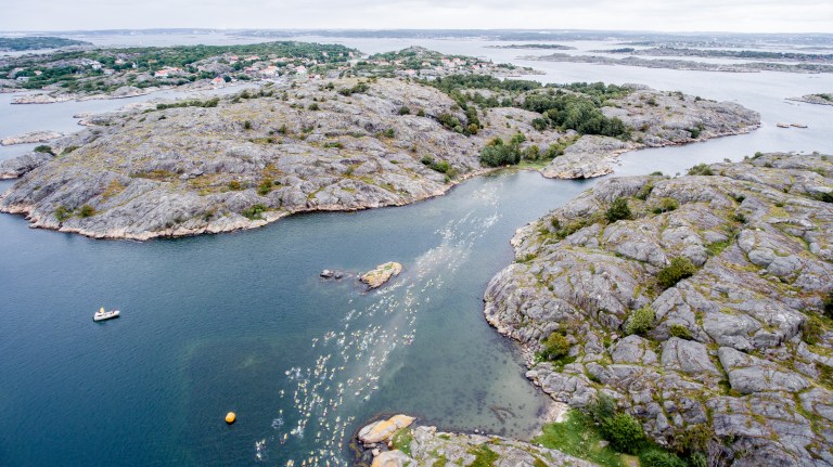 oeloppet-2016-jakobedholm_dji_0151-hr