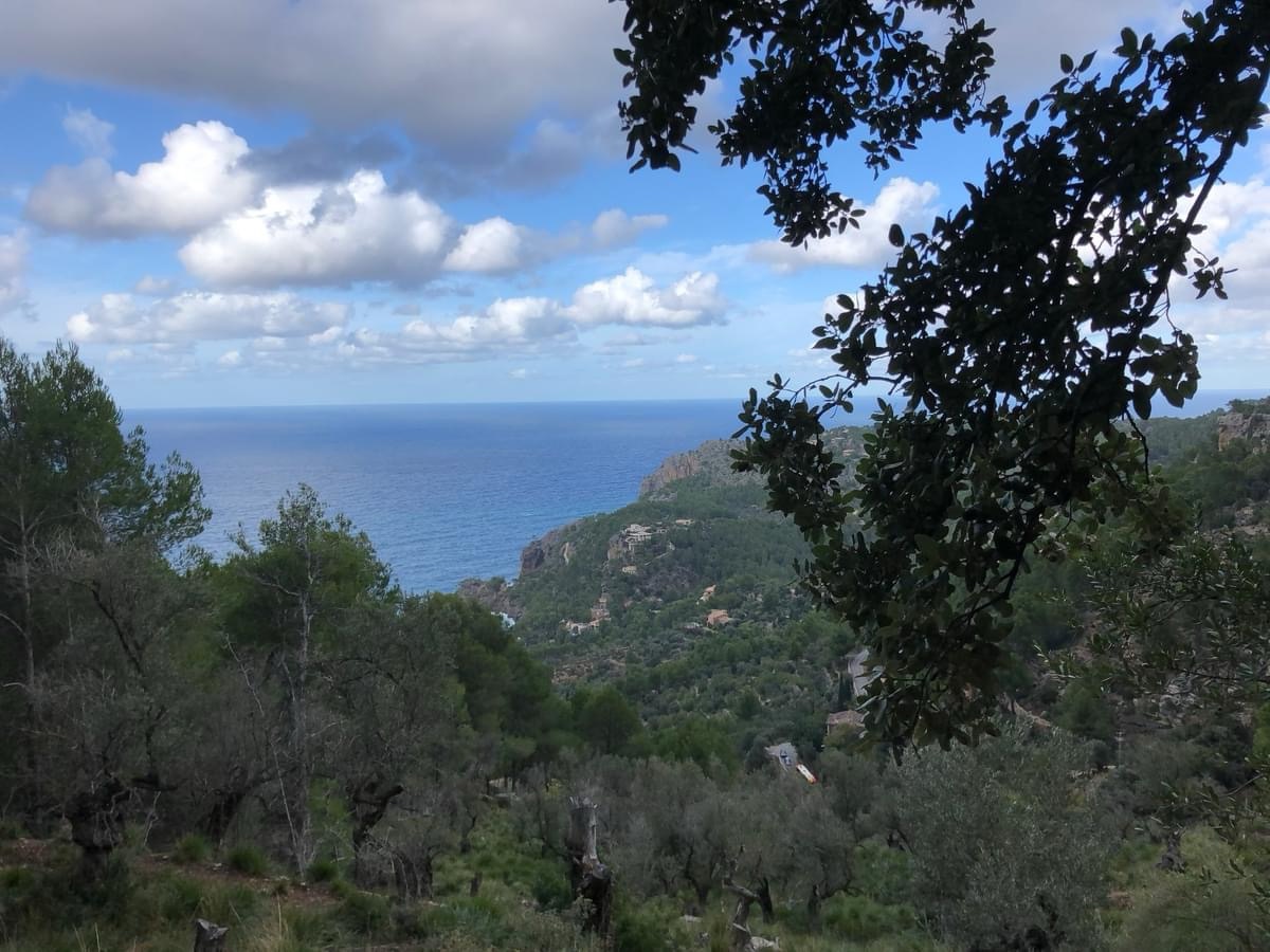 Løberejse på Mallorca i april 2025